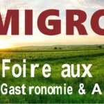 Foire aux vins de MIGRON